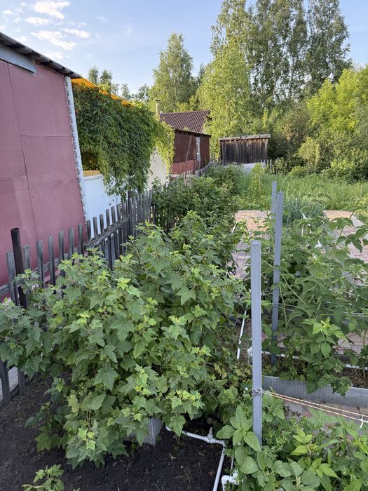 Продам дачу в СТ Веснянка