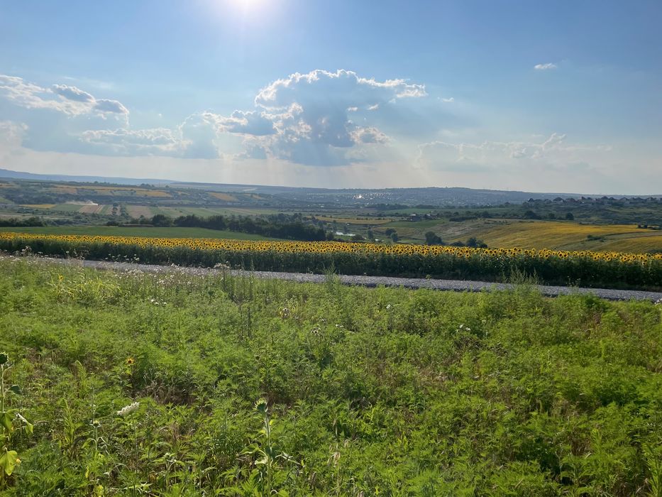 Teren intravilan ,Barnova ,Iași, 834 mp, priveliste panoramica deosebita,langa padure!