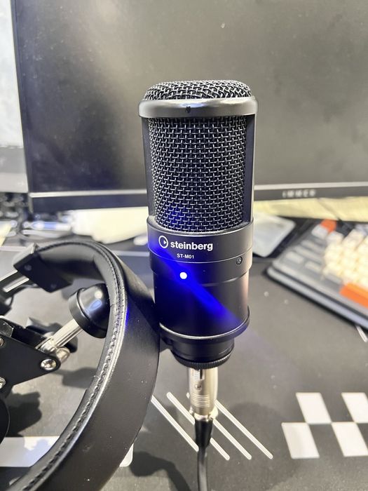 Микрофон, наушники и звуковой аппарат от Steinberg