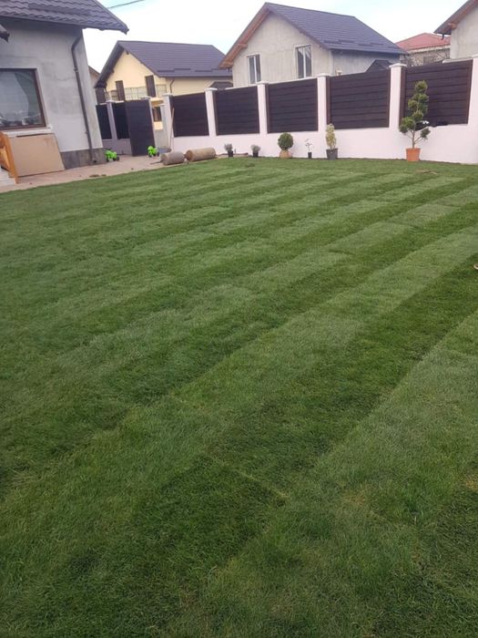 Gazon Rulou și sistem de irigatii