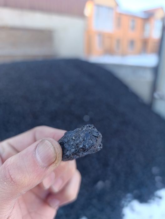 Шуборколь семачка