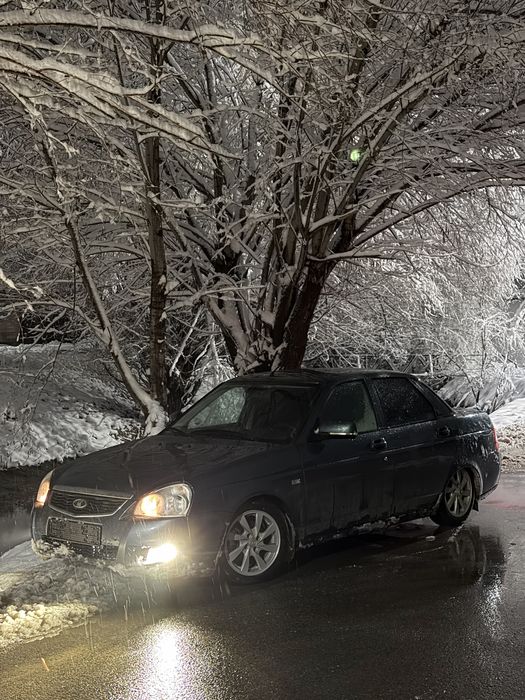 Silver edition Сильвер Эдишн ( Арин берд ) в идеальном состоянии