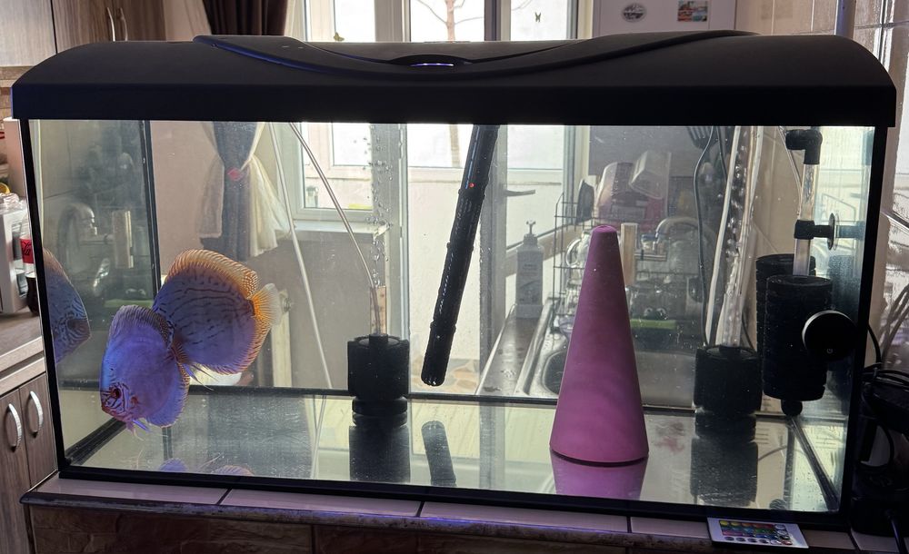 Acvariu  complet 200 l si acvariu 100 l