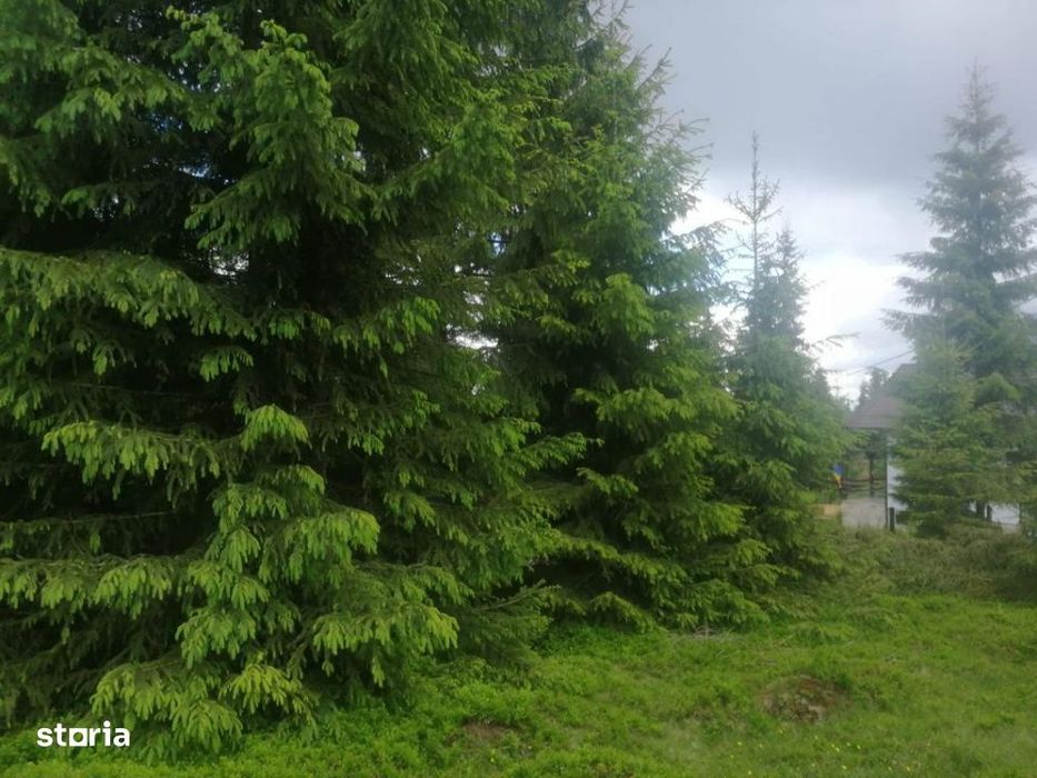 Teren de vanzare Belis1300mp Strada principala Intravilan