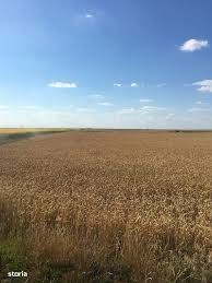 Teren agricol 2,3 ha comuna Negrilesti