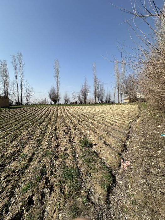 Yer sotiladi srochna arzonga