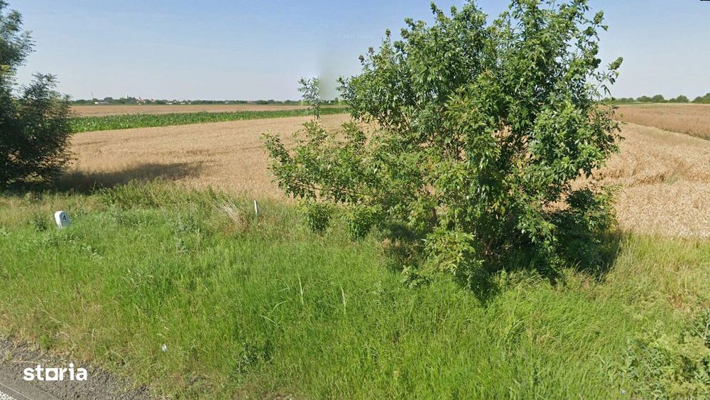 Teren Intravilan, 17500 mp, Sag, Timis, DN69