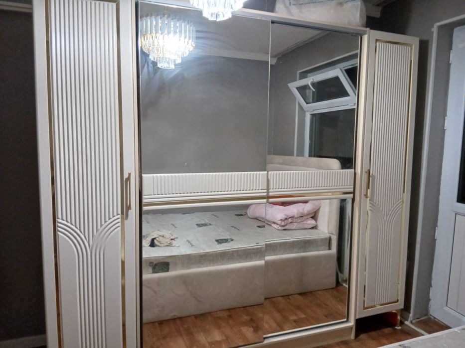 Тек жарты жылдай ғана
