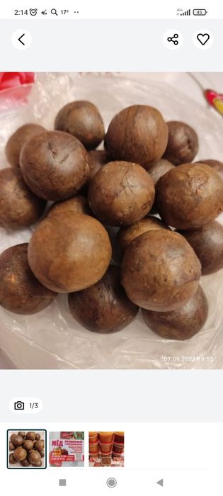 Подмор пчелинный