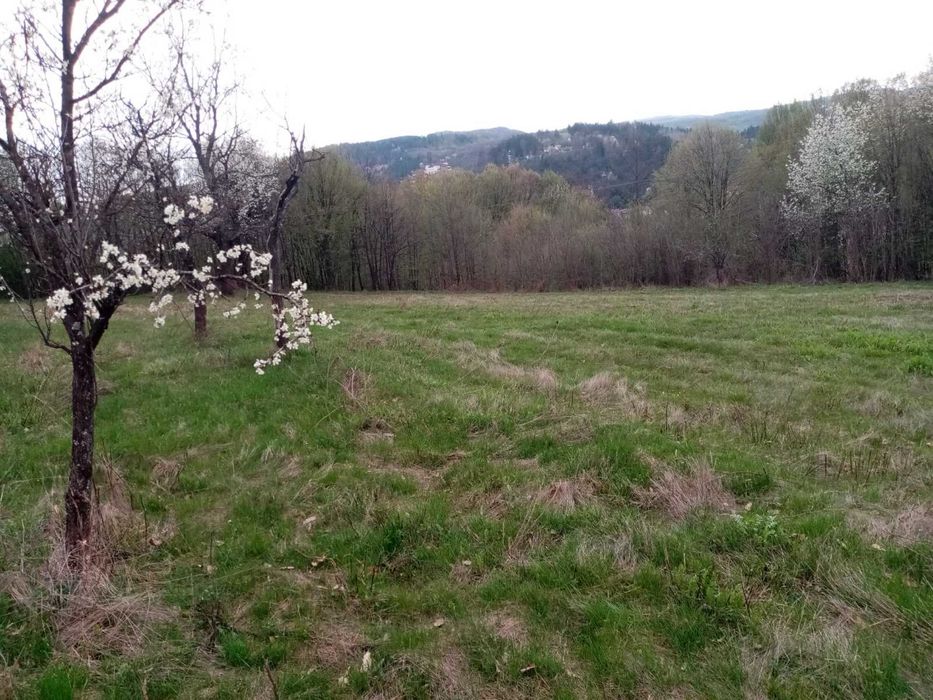 Продава се Парцел в Трявна - 8713 кв.м за 19 €/кв.м - Снимка #1