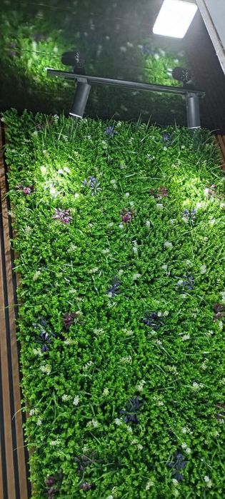 Uy tamirlash xizmati