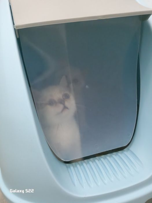 Stefan туалет-домик голубой