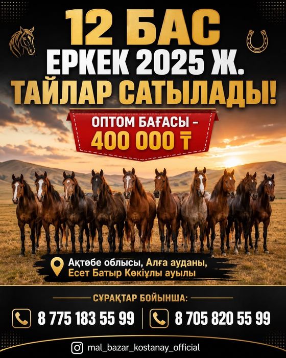 Продам жеребчиков 2025г