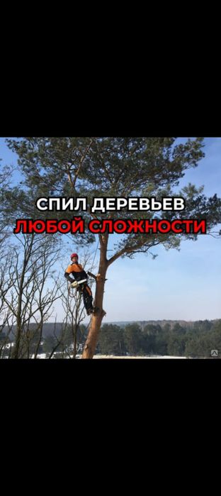 Спил деревьев,кустов