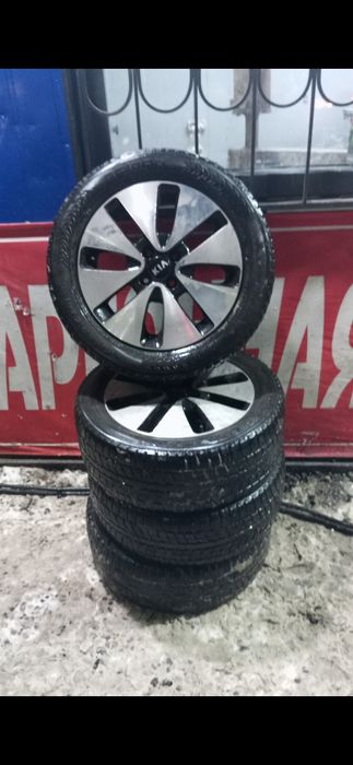 Титанка зимни ризина