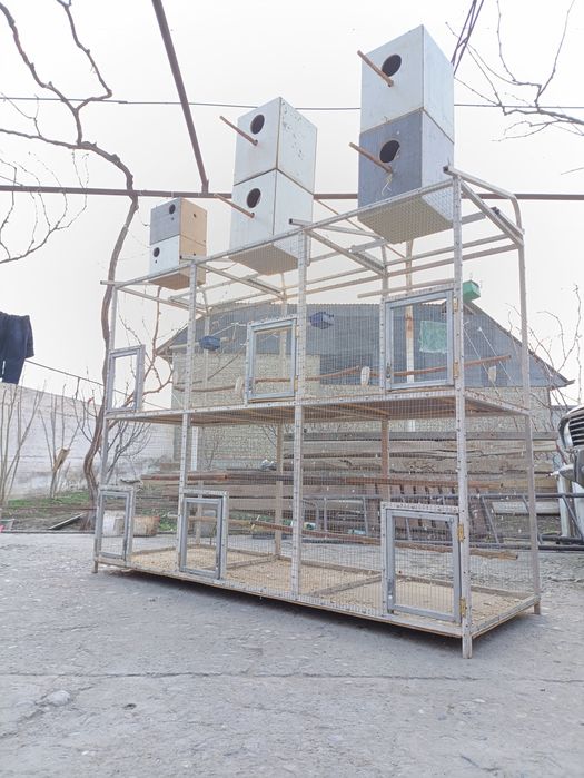 Quwga qafas  etajerka olti jup paraga