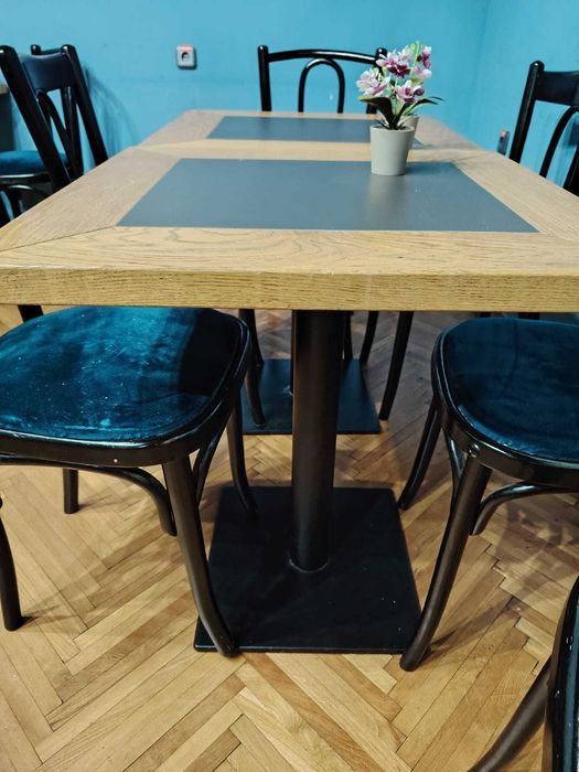 Scaune pentru cafenea din catifea albastra