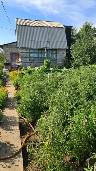 Дача С/о Алтайский энергетик