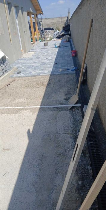 Montaj pavaj amenajari curtii si gradinii defrisat