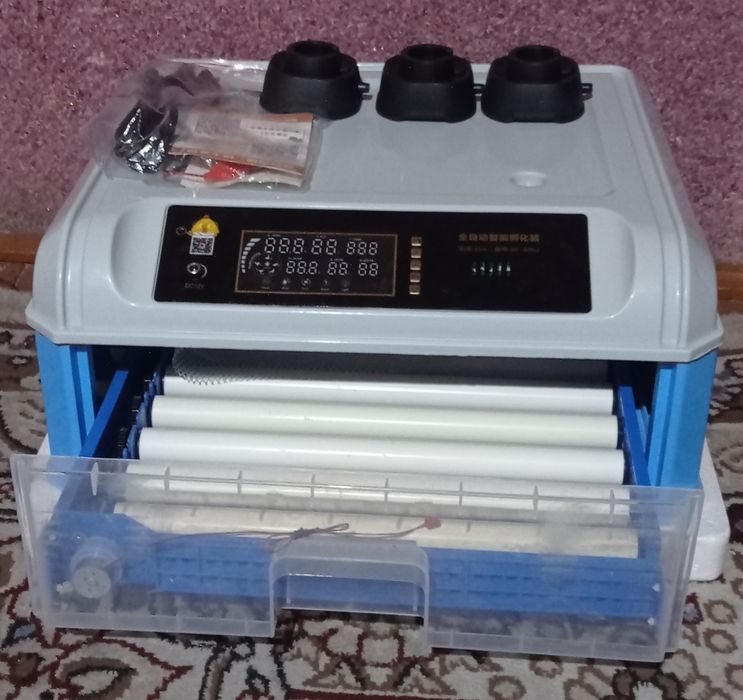 Inkubator 48 talik