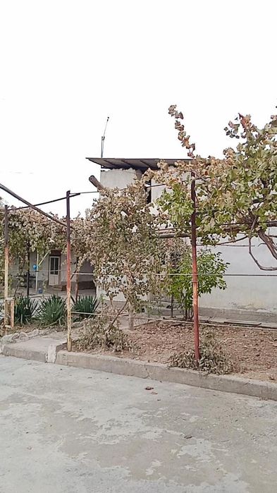 Очень срочно продается готовая ферма 1,27 Га Маданият