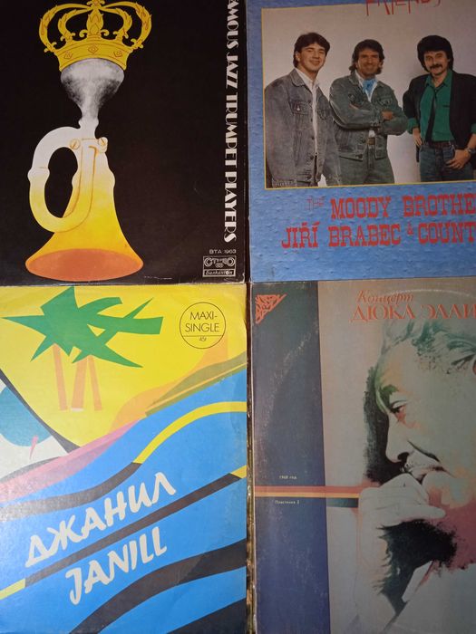 Грамофонни плочи/различни видове , повечето в почти ново състояние.