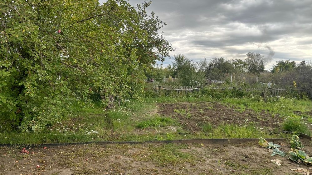 Продам дачу сад здоровье.