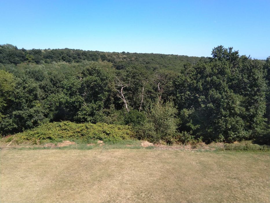 Дава се под наем Ателие в с. Приселци, Област Варна - 50 кв.м за 88500 € - Снимка #1