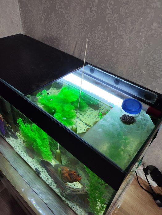 Аквариум на 100л + подарок