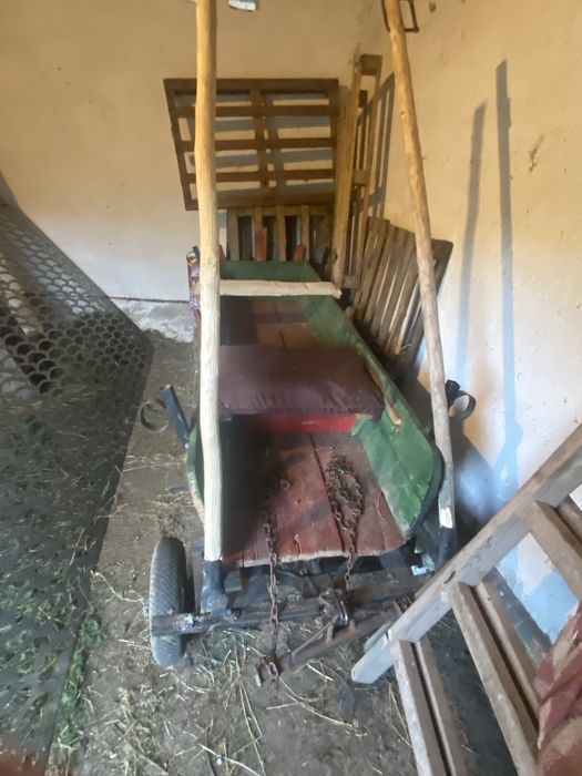 Vând ponei cu acte  are 5 ani foarte cuminte  negociabil  învățat călare