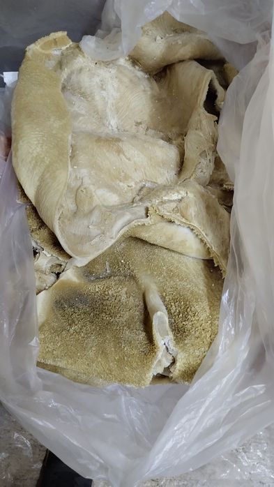 Реализую сбой (корм) для собак