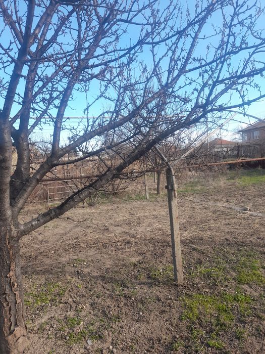 Оранжерия метална