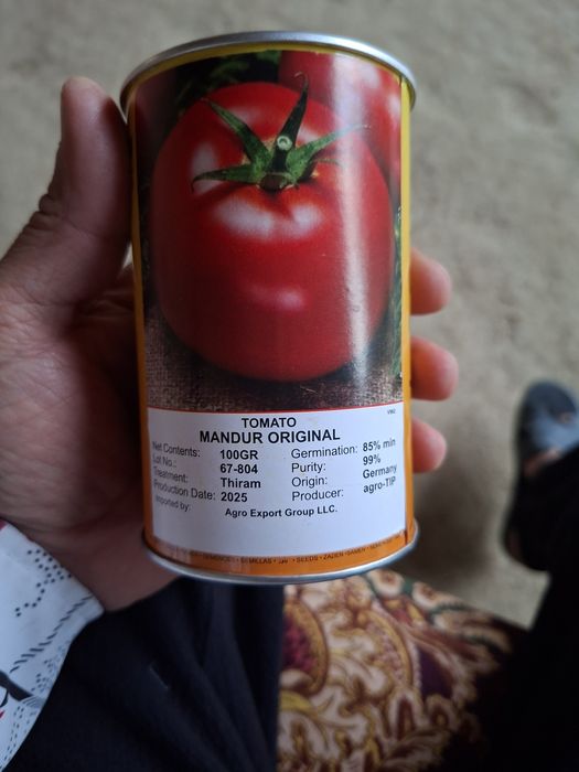 Памидор кучат сот