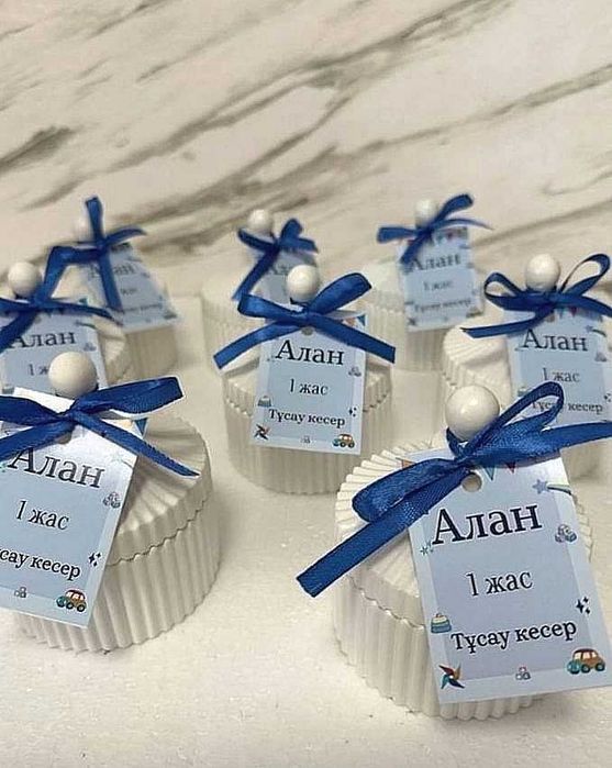 Қоғамдық көлікке мініп кеттім.