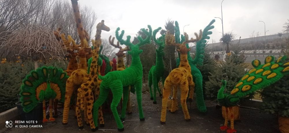 Manzarali daraxt kuchatlar