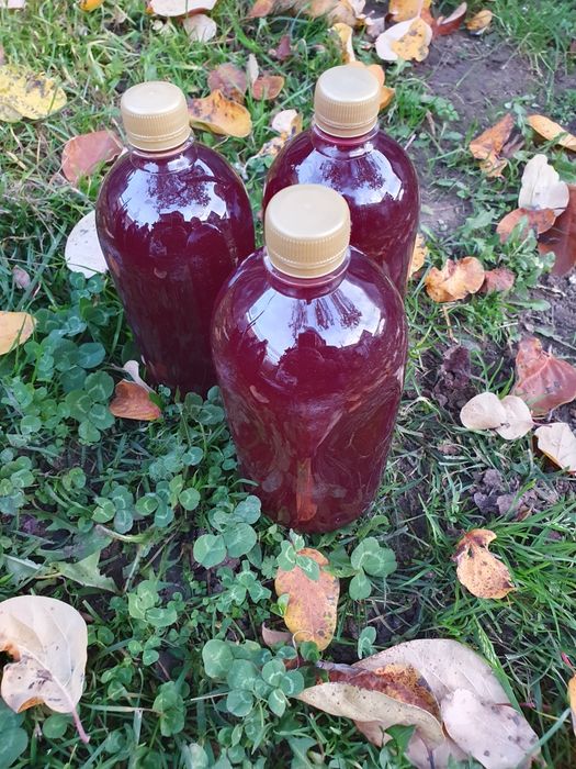 Suc de stuguri natural combinat cu măr