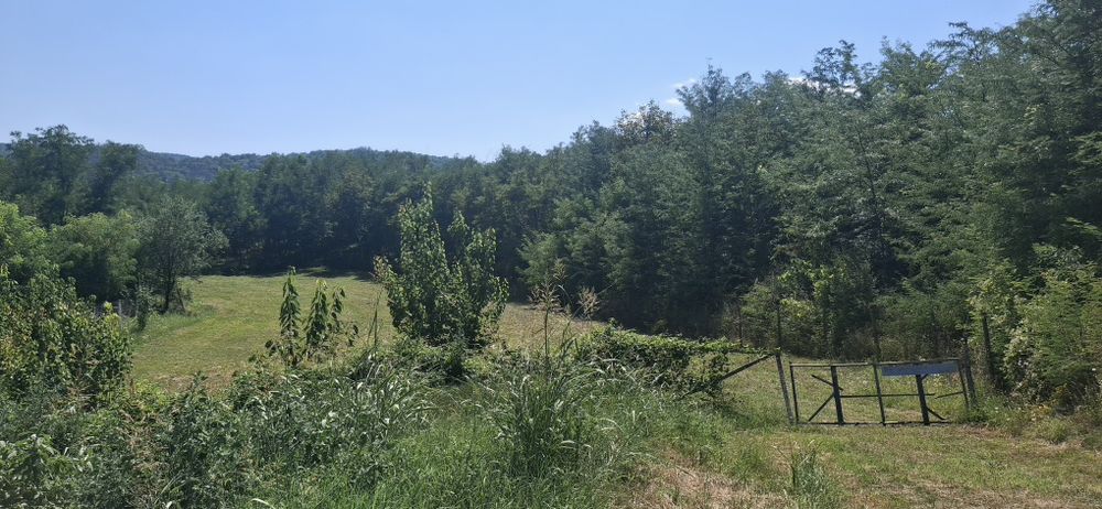 Teren intravilan ,zona linistita !