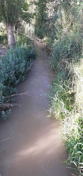 Ер сотилади боғли