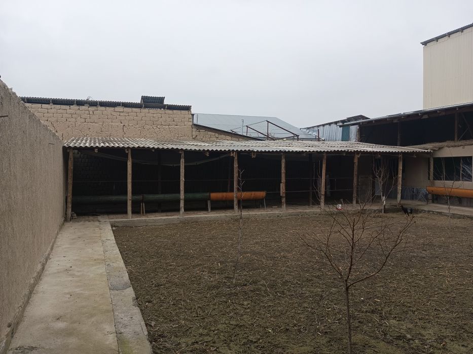 Продам дом самарканд