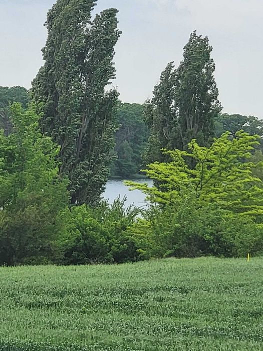 Particular, Corbeanca lac, 520mp, 85E/mp posibil rate