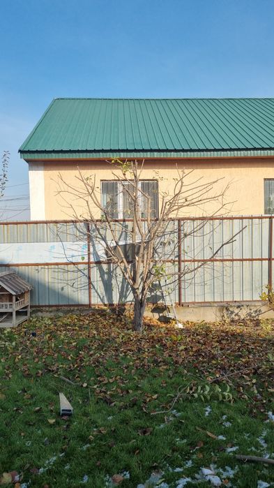 Обрезка плодовых деревьев,обработка сада