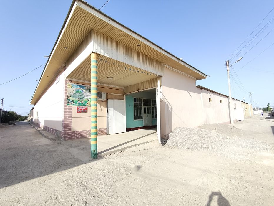 Zamonaviy kotej sotiladi