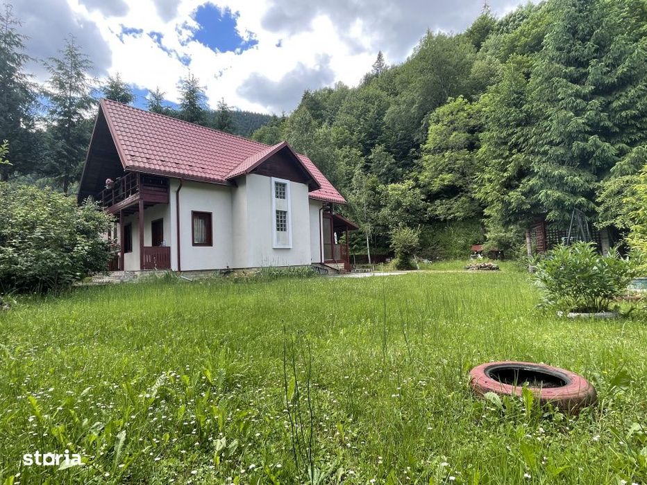 Oaza de liniste: casa + padure pana pe creasta muntelui