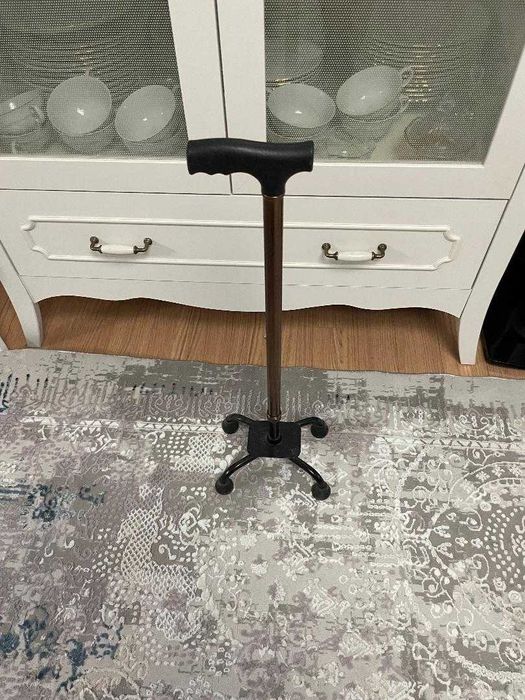 трость для поддержки