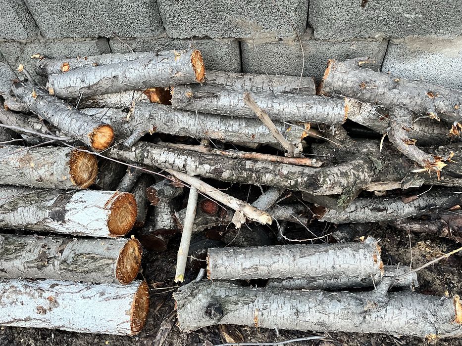 Дрова, отын сатылады