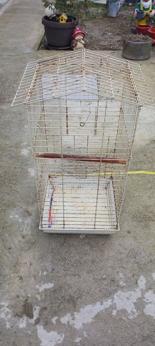 Vind cușcă papagali micul  Alexander