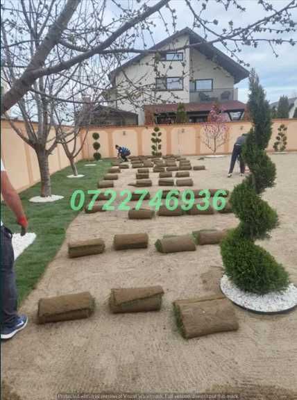 Gazon Premium cu Aspect Natural și Prindere Rapidă