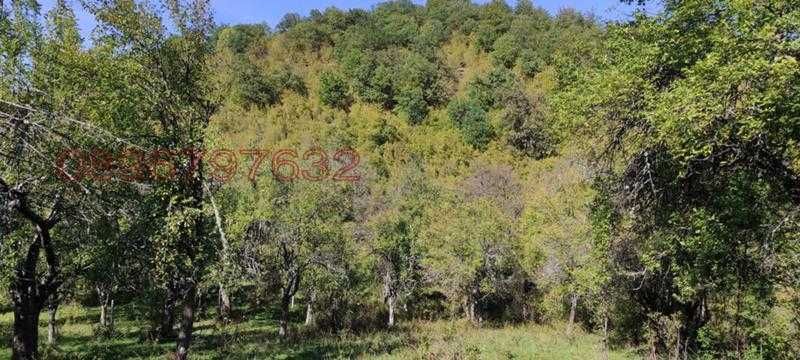 Продават се 3 земеделски имота (поземлени)