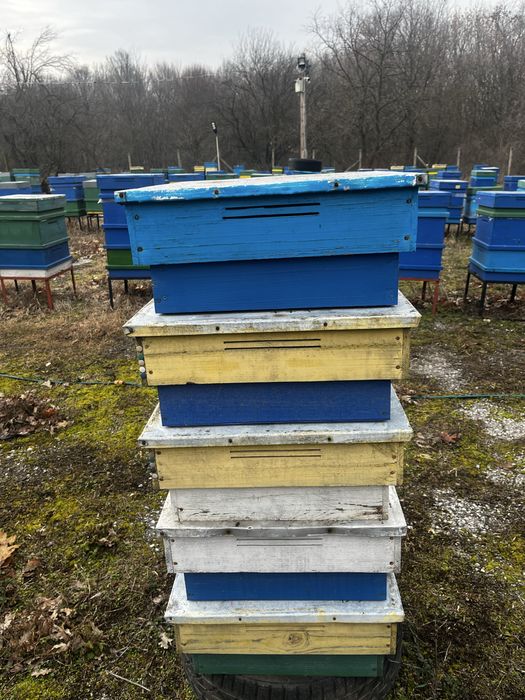 Капаци на кошери 10р. Масивни