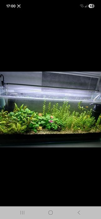 Acvariu 850×400×250